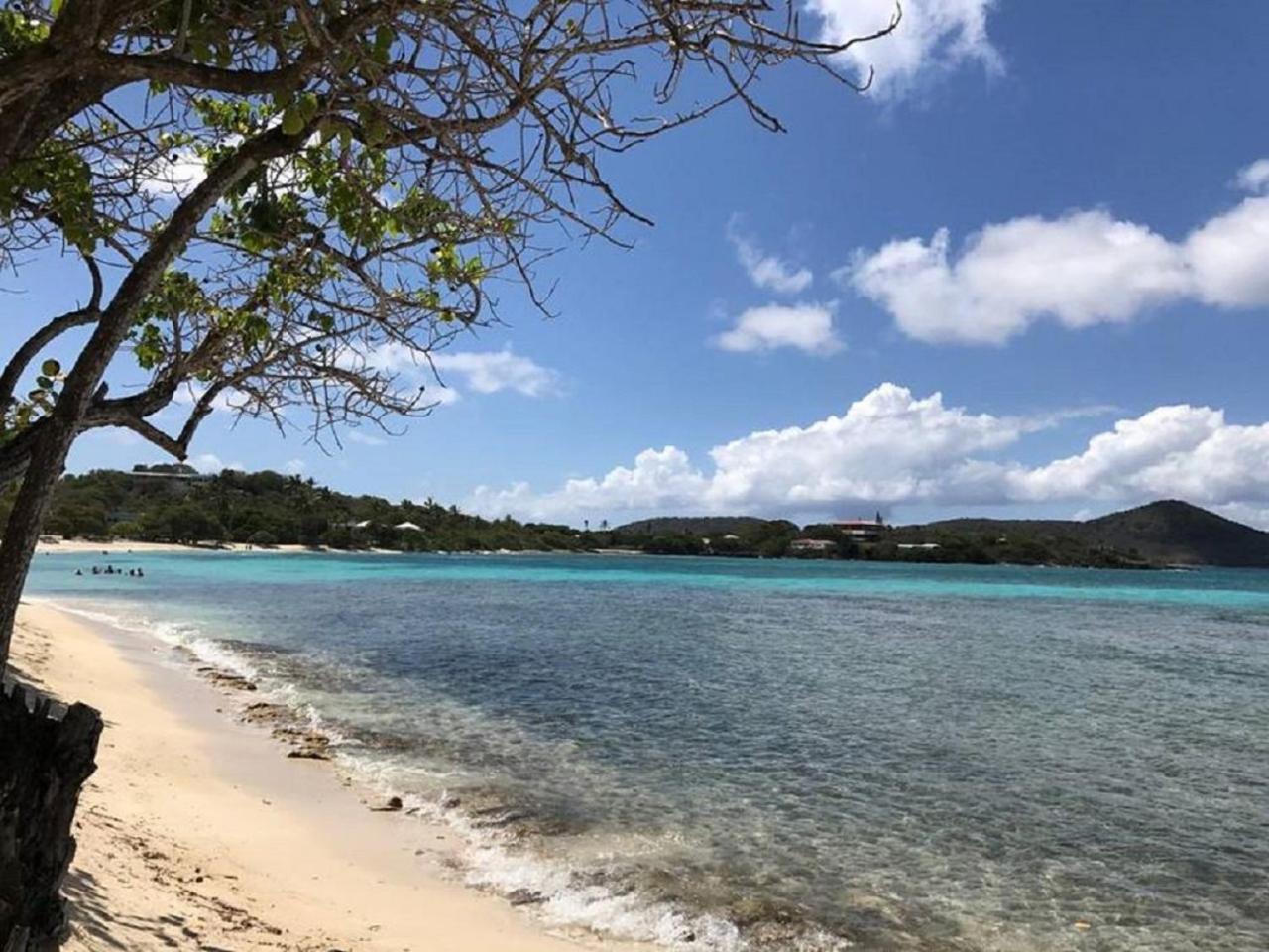 Sapphire Beach Resort And Marina East End  Buitenkant foto